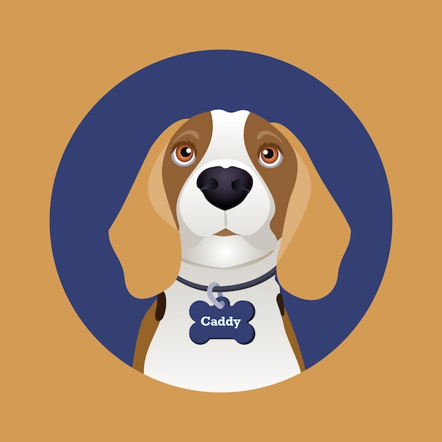 Vector vector portrait of a positive beagle  in flat style