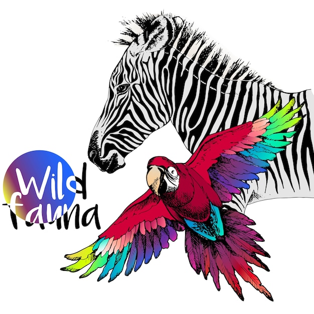 Vector portrait of zebra and ara macaw parrot