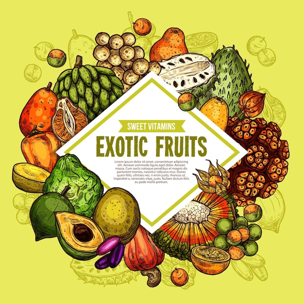 Vector vector poster of exotic tropical fruits