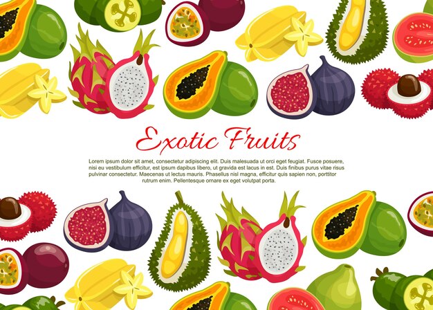 Вектор Векторный плакат тропических экзотических фруктов