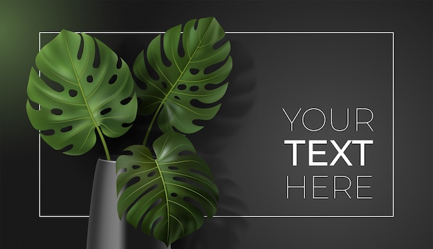 Vector poster with green tropical leaves monstera in vase on dark background