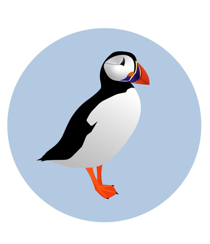 Vector vector print with an atlantic puffin bird standing on the blue round background