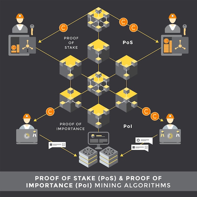 Vector proof of stake PoS and importance PoI algorithms principal scheme infographic blockchain mining architecture technology digital business concept illustration