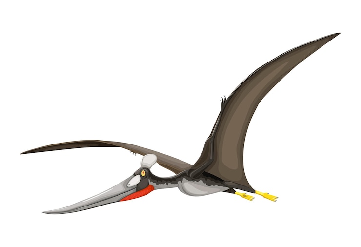 Vector vector pterosaur