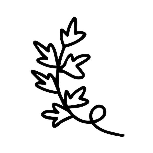 Vector pumpkin plant with leaves isolated Doodle branch with leaves isolated