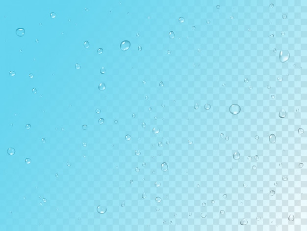 Vector rain pattern on transparent