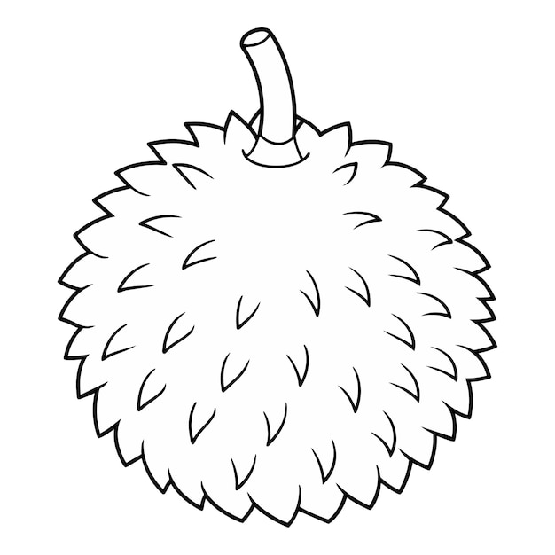 Vector of Rambutan coloring pages for kids