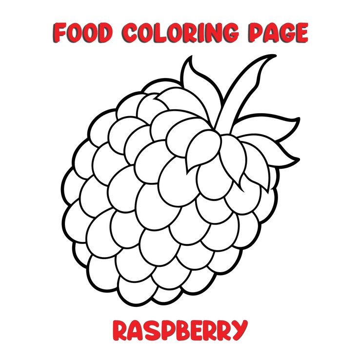 Vector vector of raspberry illustration coloring page for kids