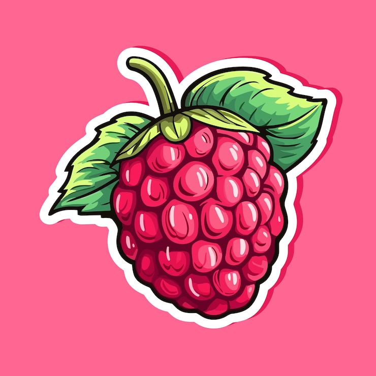 Vector vector raspberry sticker isolated on white cartoon flat style illustration red yammi berry