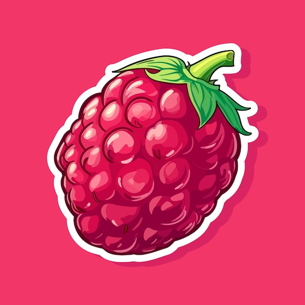 Vector raspberry sticker isolated on white Cartoon flat style illustration Red yammi berry