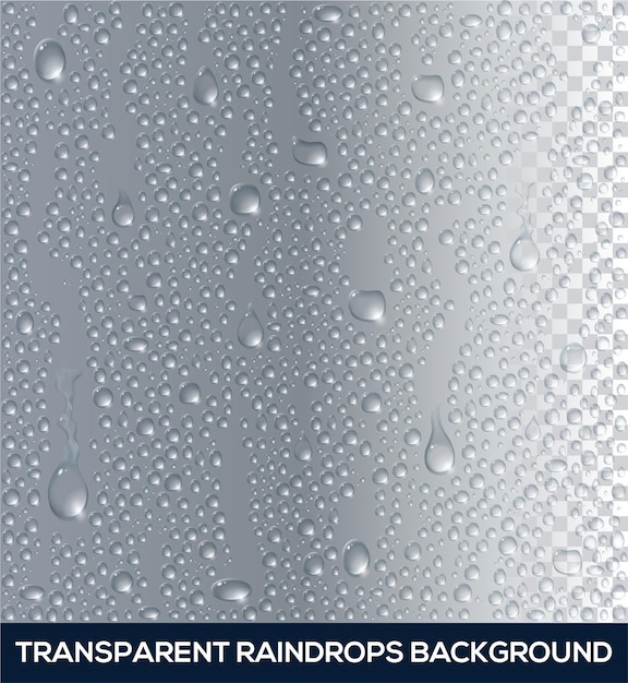 Vector vector realistic background of raindrops