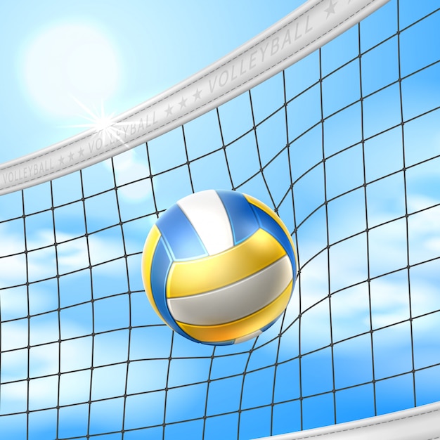 Vector vector realistic beach volley ball in net blue sky