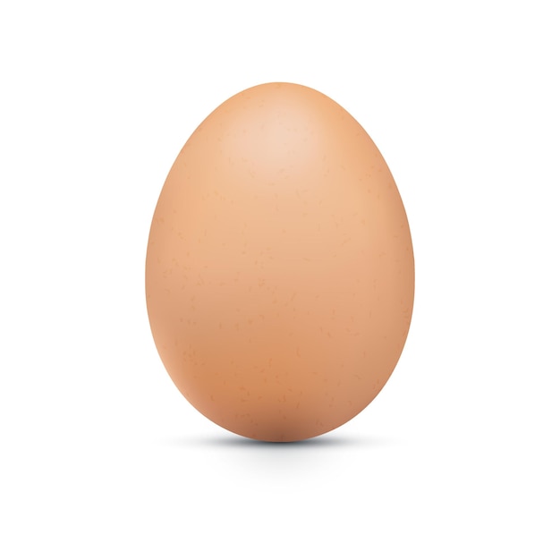 白い背景で隔離の影のクローズアップ3d全鶏卵とベクトル現実的な鶏茶色の卵