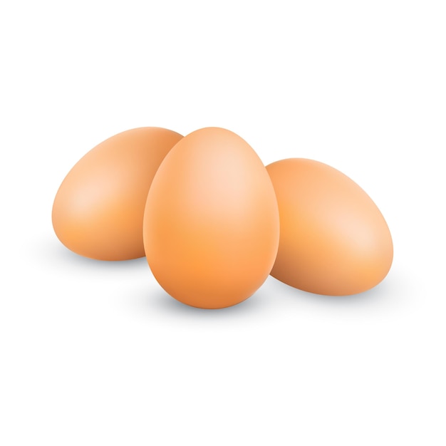 ベクトル現実的な鶏茶色の卵白い背景で隔離の3つの鶏卵の束