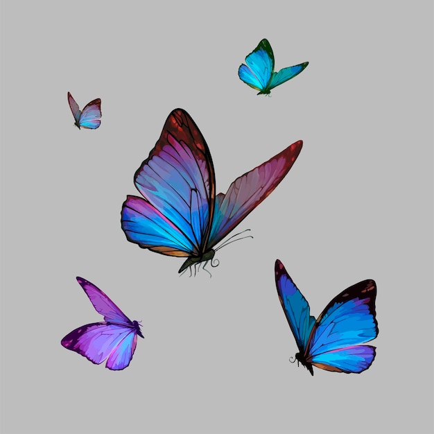 아름다운 나비, 바둑 나비, 나방의 벡터 현실적인 그림