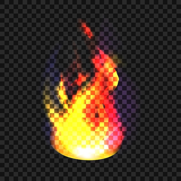 Vector realistic fire on black background