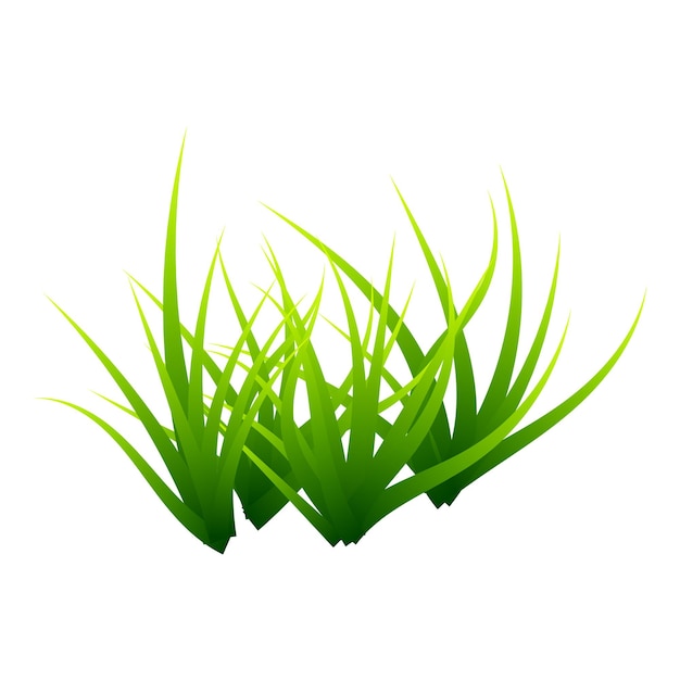 Vector realistic green grass cluster perennial plant