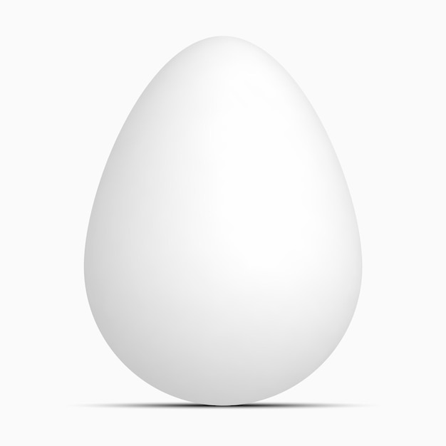 vector realistic natural white egg