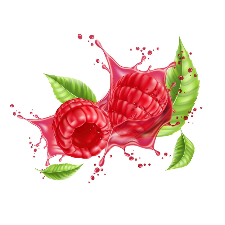 Vector vector realistic raspberry splash flow with leaves