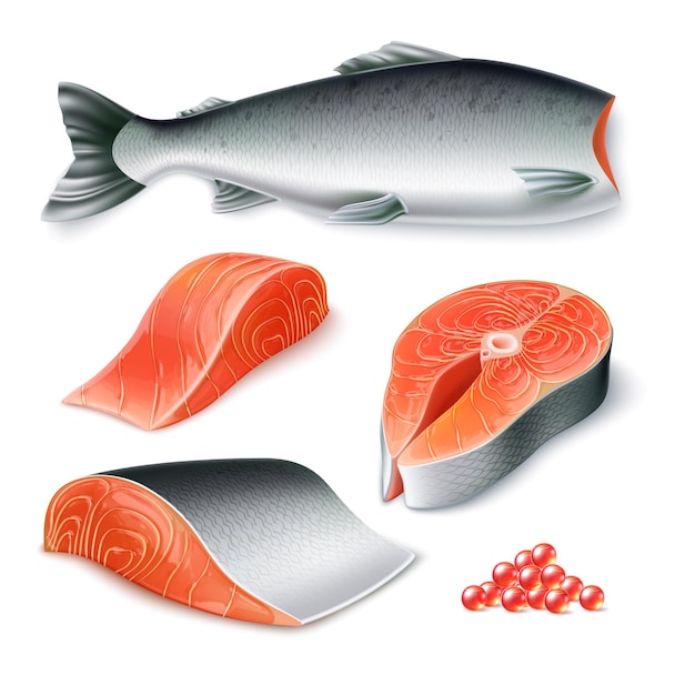 Vector vector realistic raw salmon fish set whole fish peeled fillet steak and caviar for restaurant menu