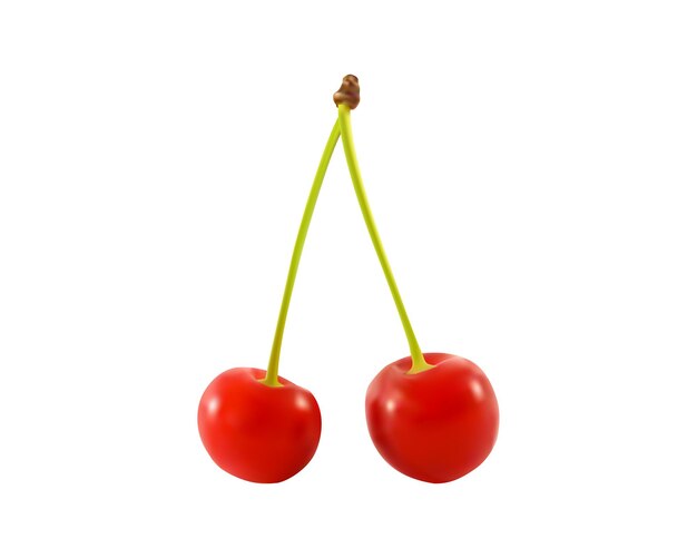 Vector vector realistic red cherry illustration