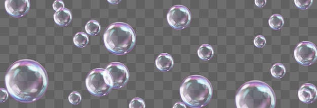 Vector realistic soap bubbles with rainbow reflection isolated on png