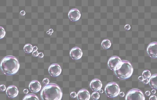 Vector realistic soap bubbles with rainbow reflection isolated on png