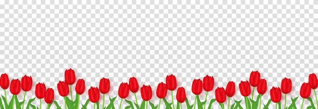 Vettore vettore realistico tulipani png. png dei tulipani rossi. banner festivo con tulipani. fiore, pianta. png dei tulipani.