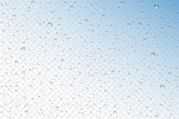 Vector realistic water drops condensed