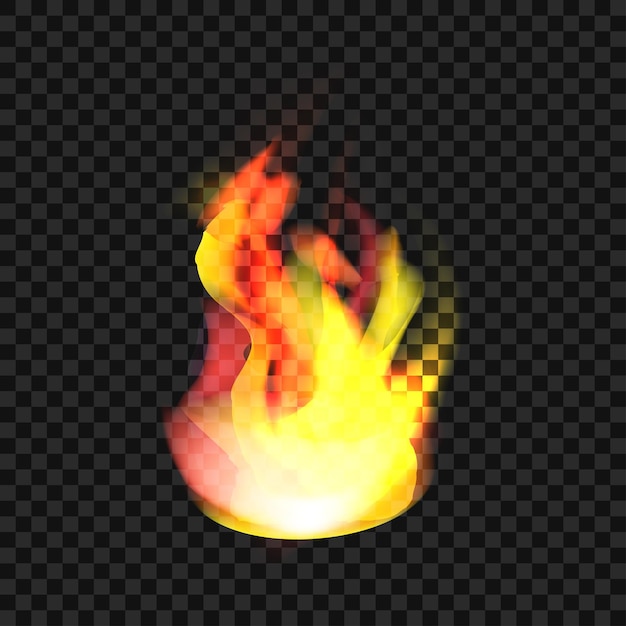 Vector realistisch vuur op zwarte achtergrond