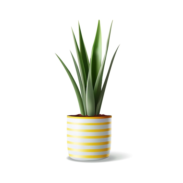 Vector vector realistische indoor slangenplant in keramische pot