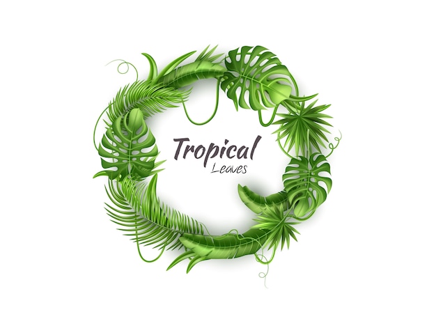 Vector realistische tropische verlaat exotische vakantie