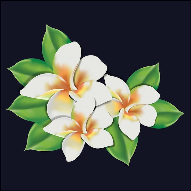 Vector vector realistische witte bloem