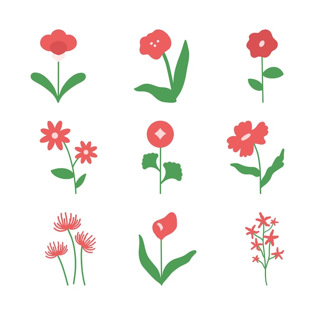 Vector vector red flower illustration set