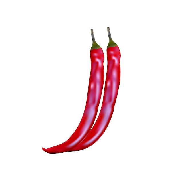 Vector Red hot chilli in white background