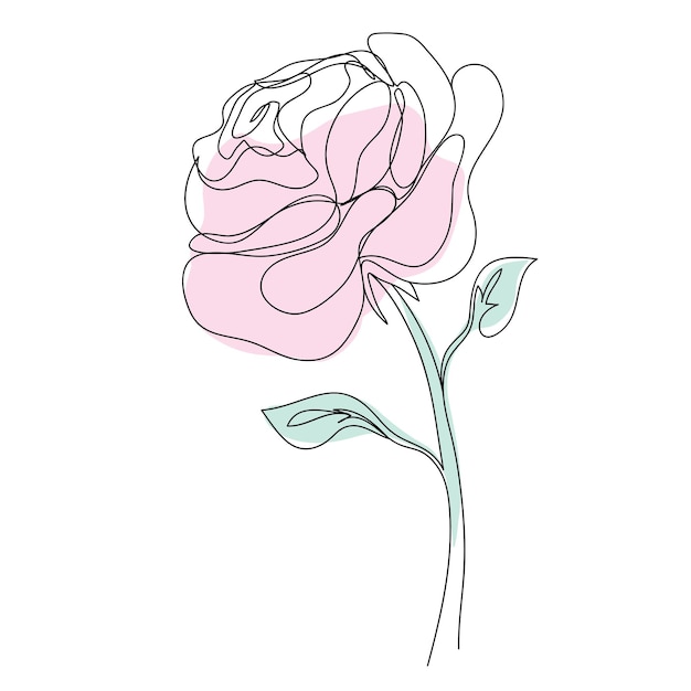 Vector red rose drawing of one continuous line Color illustration of flowers in the style of line art