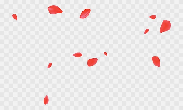 Vector red rose petals will fall on abstract floral background with gorgeous rose petal greeting