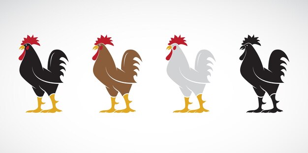 Vector of rooster or cock design on white background Animal farm Easy editable layered vector illustration