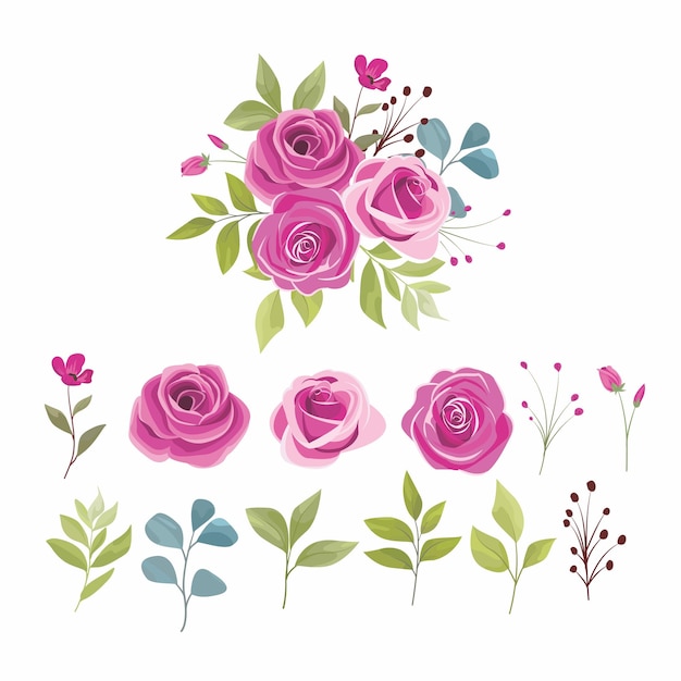 Vettore elementi di fiori di rosa e foglie bel mazzo di rose