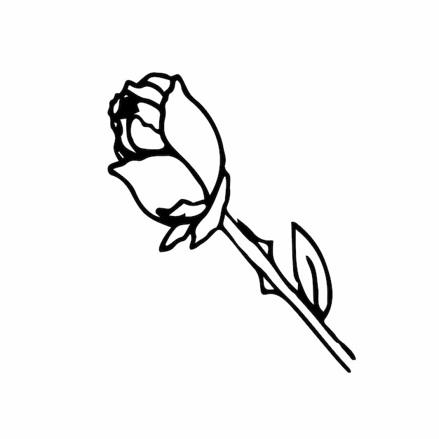 Vector rose sketch hand drawn rose line art Vector illustration