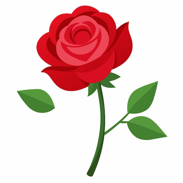 Vector a rose with green leaves with flat illustration style