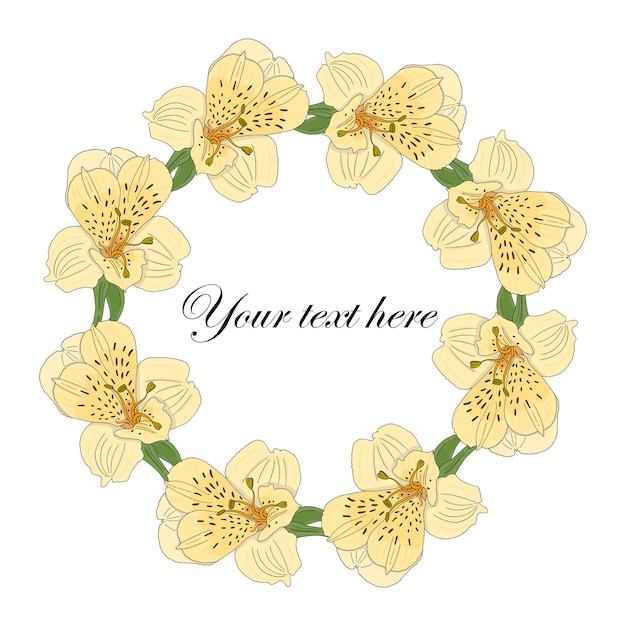 벡터 노란색 alstroemeria 꽃의 흰색 배경 화환에 고립 된 벡터 라운드 꽃 프레임
