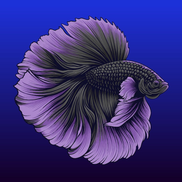 Vector vector roze grijze halve maan betta vis in blauwe tank illustratie ontwerp