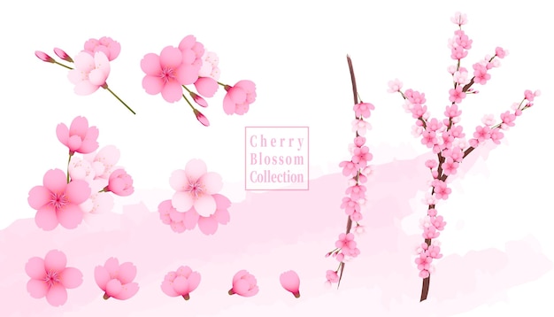 Vector roze kersenbloesem collectie