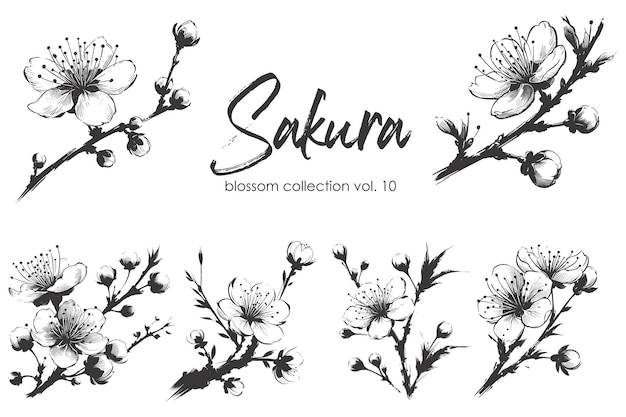 Vector sakura blossom branch collection Hand drawn illustration