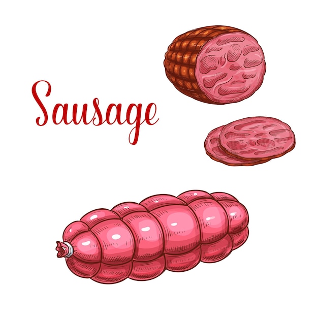 Vector vector sausage salami meat sketch icon