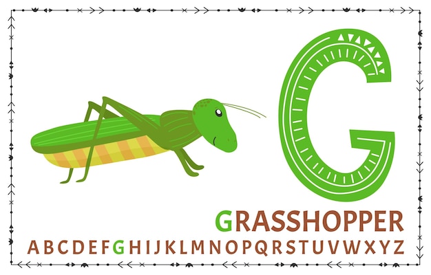 Векторный скандинавский алфавит Мультяшный детский алфавит Ручной рисунок для изучения букв Отлично подходит для дизайна открыток, плакатов, наклеек и так далее G Grasshopper