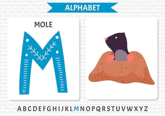 Векторный скандинавский алфавит Мультяшный детский алфавит Ручной рисунок для изучения букв Отлично подходит для оформления открыток, плакатов, наклеек и так далее M Mole