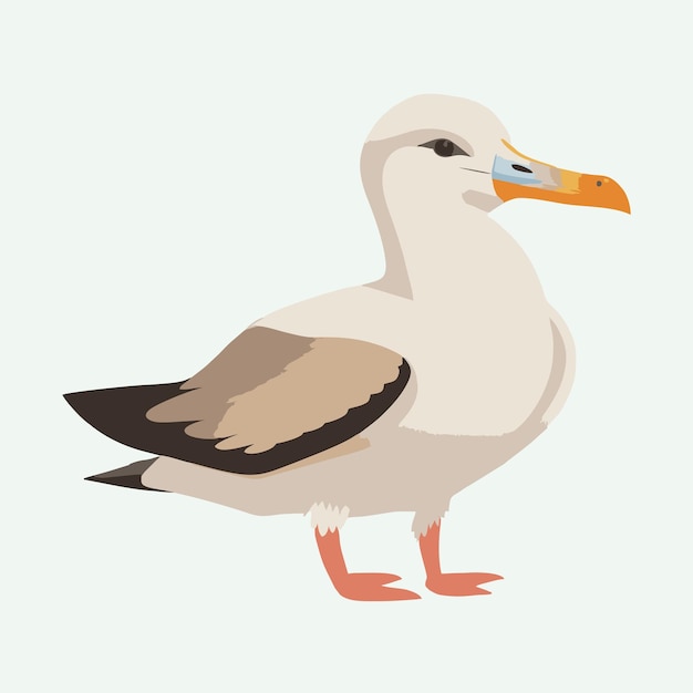 vector schattige albatros vogel cartoon stijl