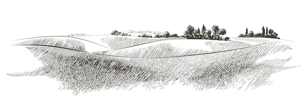 Vector vector schets groen grasveld op kleine heuvels weide alkali loog grasland pommel lea weidegrond boerderij landelijk landschap landschap panorama van platteland weiden illustratie